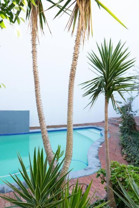 1 Zeanor In Sea Point